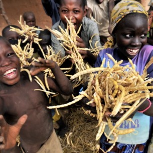 sahel-12